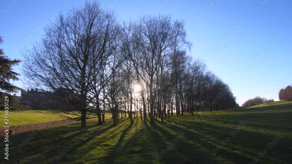 dog runs in the background of landscape with gothic castle in the background with the sun shining through the trees dog runs in the background of landscape with gothic castle in the background with the sun shining through the trees