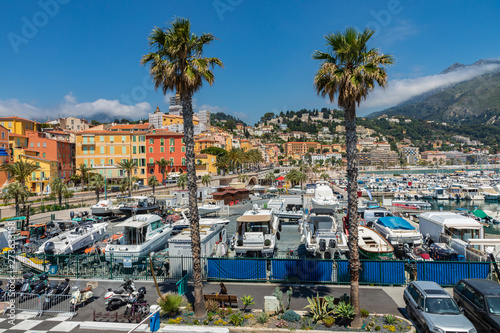 View of palm tree and harbor with boats in Menton on French Riviera. Provence-Alpes-Cote d'Azur, France. © Curioso.Photography