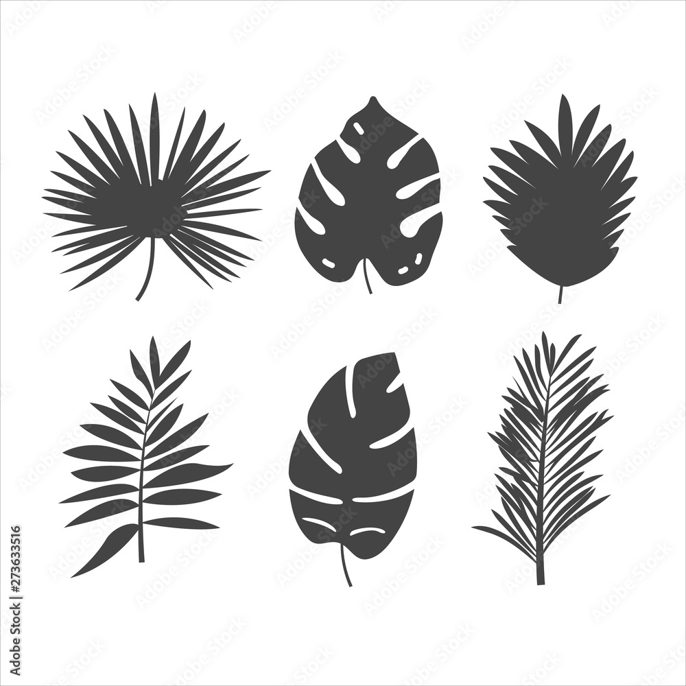 Set of 6 simple flat tropical leaves isolated on white background. Design element for brochure, poster, card, web, ad and sale Set of 6 simple flat tropical leaves isolated on white background. Design element for brochure, poster, card, web, ad and sale