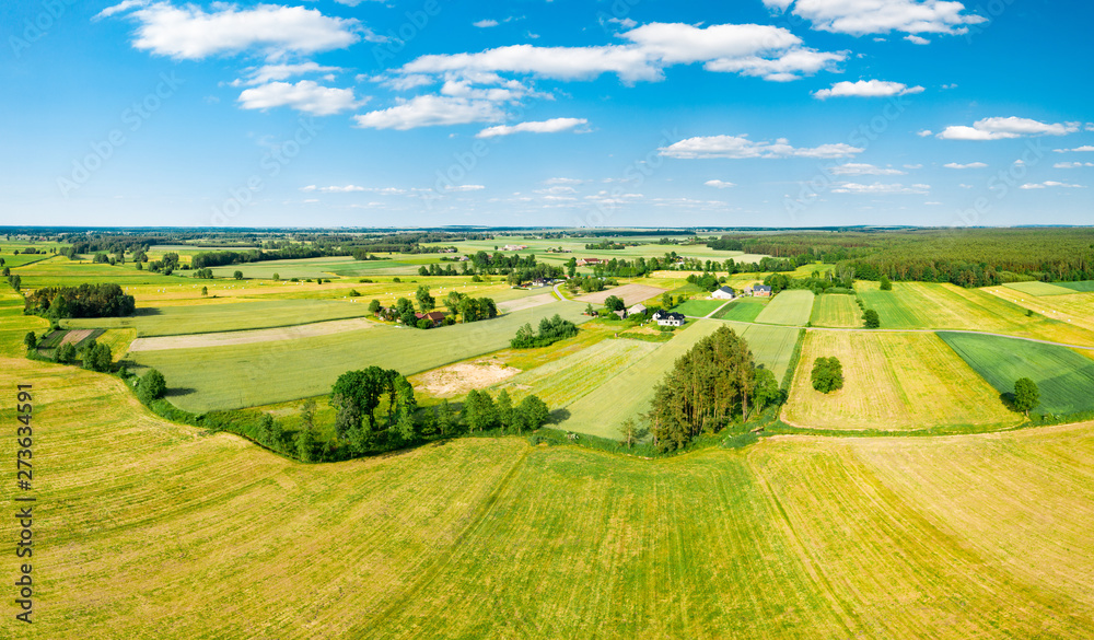Green fields and trees of Polish countryside stretch to the horizon under white clouds and blue sky - obrazy, fototapety, plakaty 