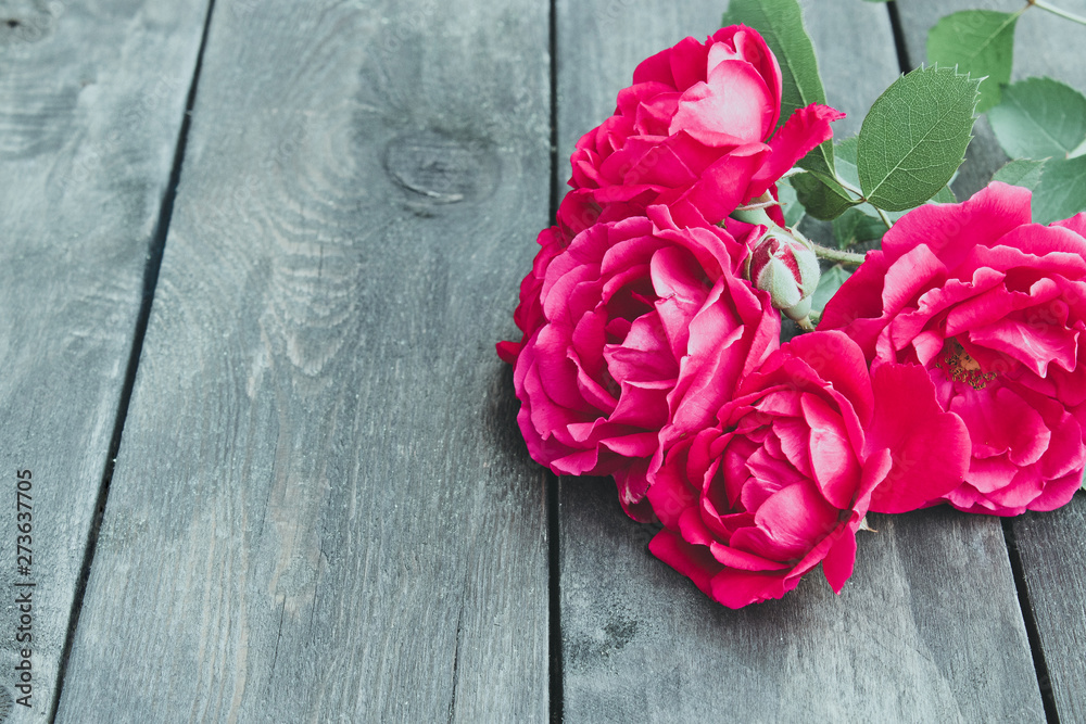 Roses on an old wooden board. Flower frame. Roses on an old wooden board. Flower frame.