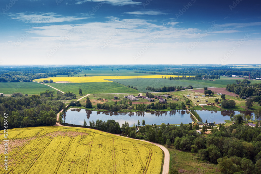 Yellow canola fields in rural landscape.