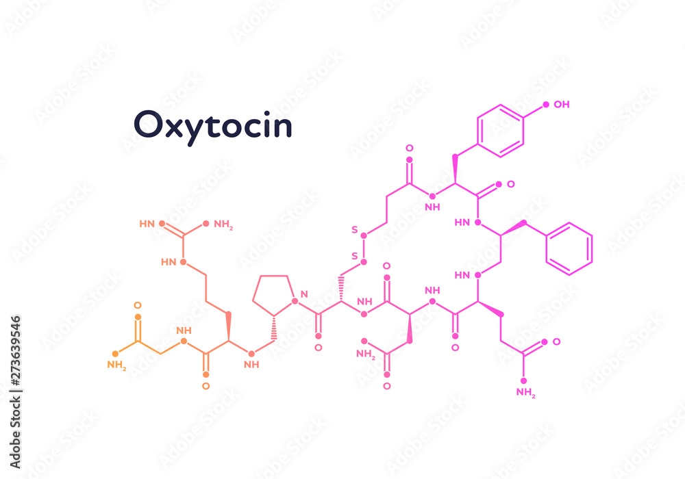 Vector hormones banner template. Oxytocin structure gradient color isolated on white background. Hormone assosiated with bonding, addiction, pain, anxiety. Design for science, education, presentation