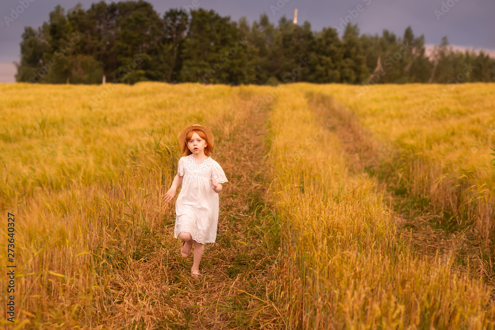 Cute red-haired girl runs in the gold field. Harvest time