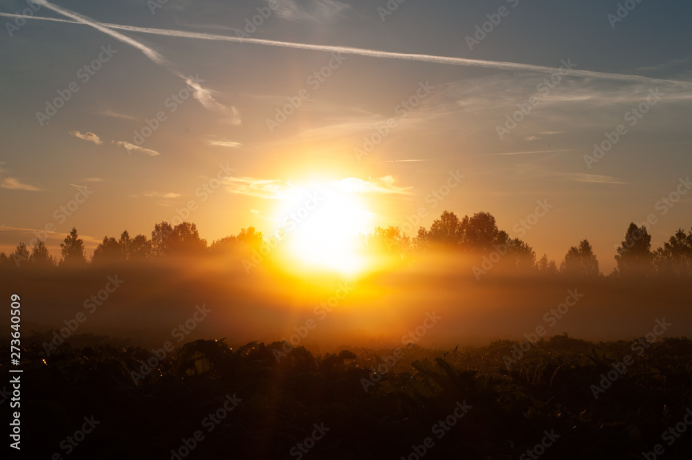 sunset sunset