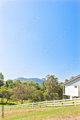 Clear blue sky and natural jungle with house.