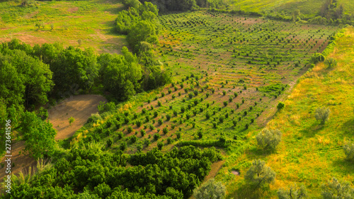 Aerial view of a field