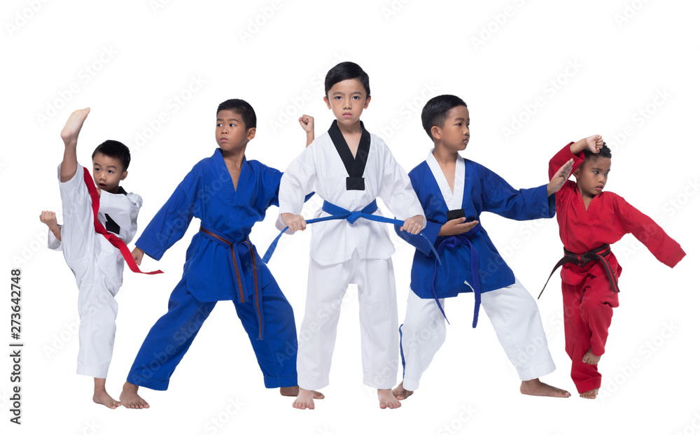 Group of Five 5 Red Blue II Belt Kids TaeKwonDo