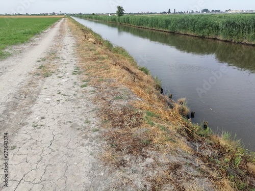 Wallpaper Mural canale nel verde della campagna Torontodigital.ca