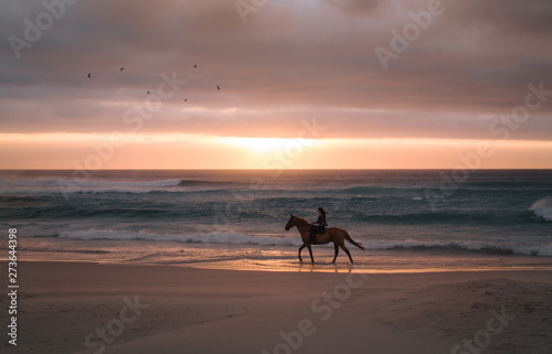 Woman horse riding along the sea shore
