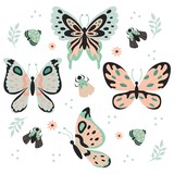 Hand drawn Butterflies, insect, flowers and plant Seamless Pattern isolated on white Background - Vector Illustration 