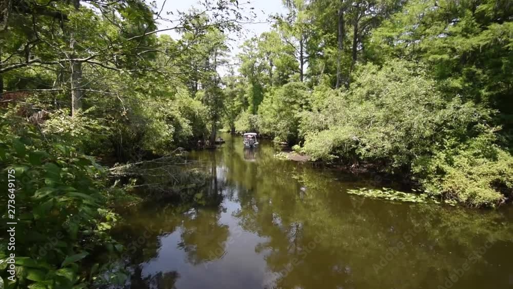 Boating in pristine Florida rivers and waterways such as in Lettuce Lake in Tampa is a great place to fish and observe flying birds such as the Spoonbill gently gliding in this footage Boating in pristine Florida rivers and waterways such as in Lettuce Lake in Tampa is a great place to fish and observe flying birds such as the Spoonbill gently gliding in this footage