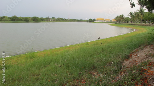 Parks and swamps, tropical nature, small birds, waterfront gardens, outdoor exercise for people in the city Nakhon Ratchasima Province, Thailand