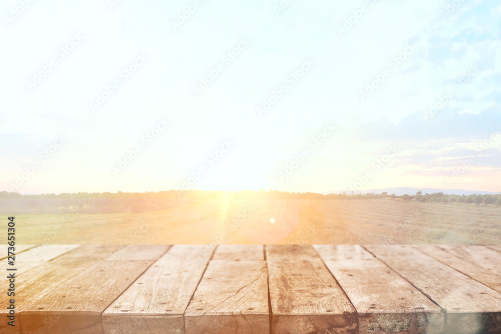 Wood table top on blur field background. Summer, nature concepts. For montage product display or design key visual layout. Wood table top on blur field background. Summer, nature concepts. For montage product display or design key visual layout.