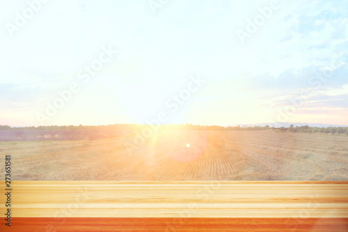 Wood table top on blur field background. Summer, nature concepts. For montage product display or design key visual layout.
