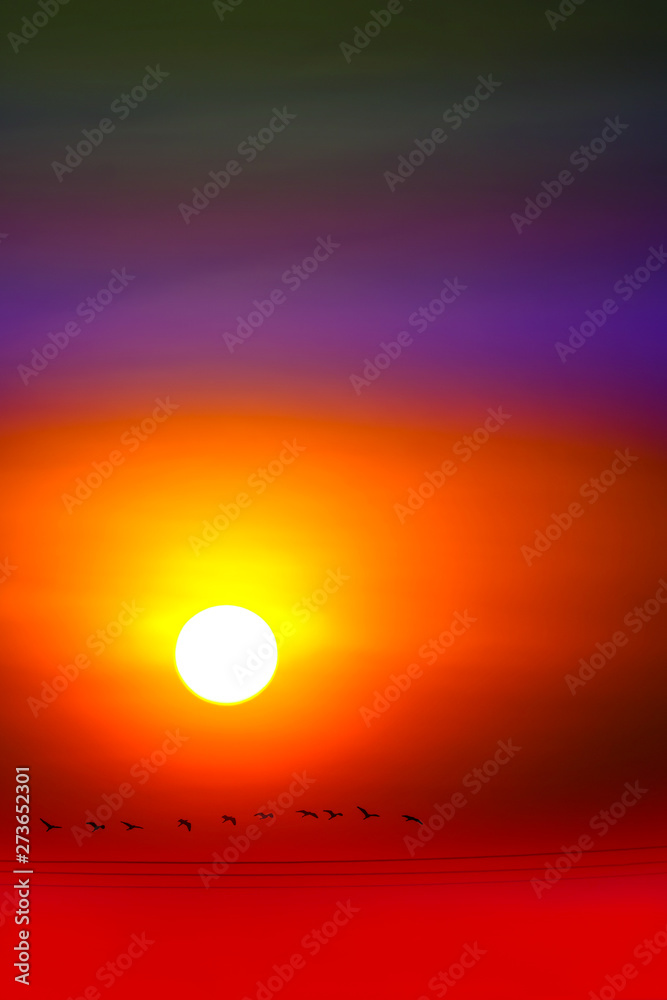 multicolor of sunset sky and sun ray all around and silhouette flying birds