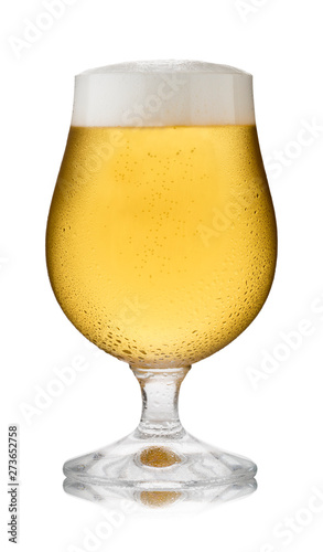 A refreshing glass of lager, in a schooner glass, with condensation
