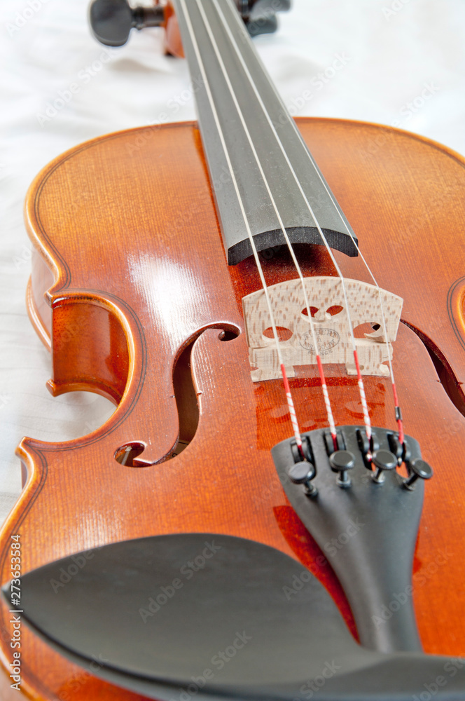 violin isolated on white background violin isolated on white background