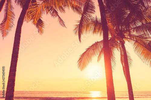 Tropical palm tree on sunset sky cloud abstract background.