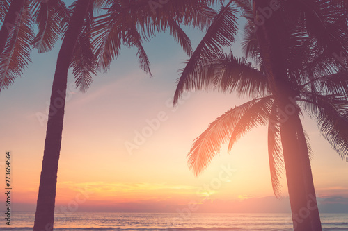 Beautiful tropical beach with palm tree on sunset twilight sky clouds abstract background. © tonktiti
