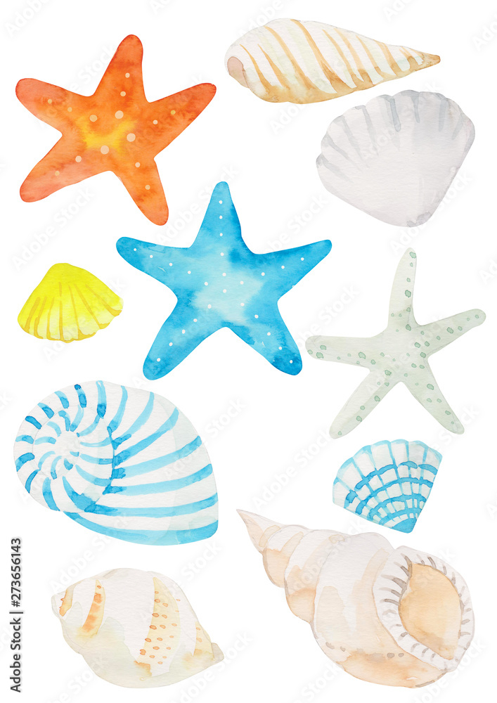 Seashell pattern. Watercolor hand drawn illustration. Seashell pattern. Watercolor hand drawn illustration.