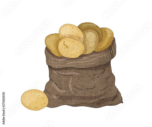 Natural drawing of potato tubers in burlap bag