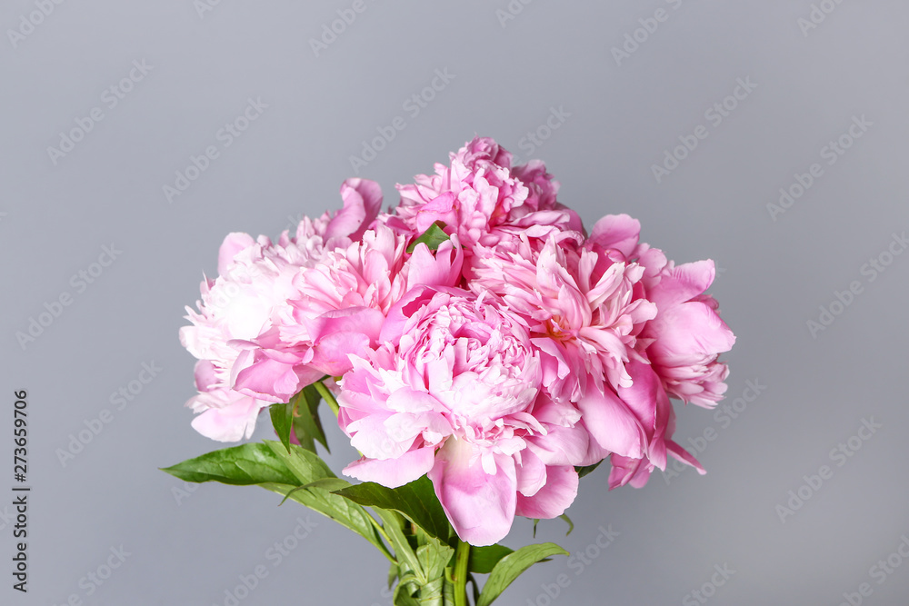 Beautiful fresh peony flowers on grey background Beautiful fresh peony flowers on grey background