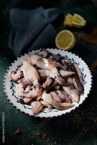 raw raw cuttlefishes in a bowl