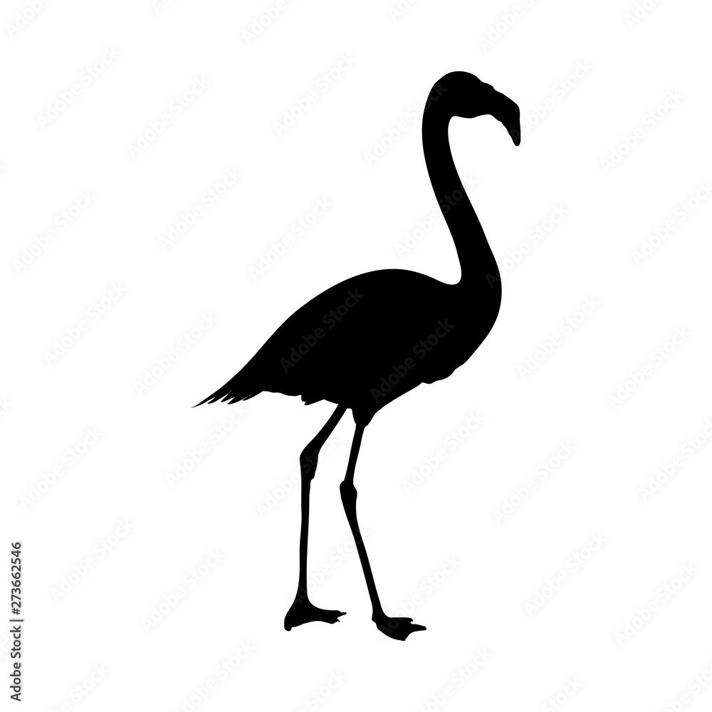 Fototapeta premium Flamingo Silhouette