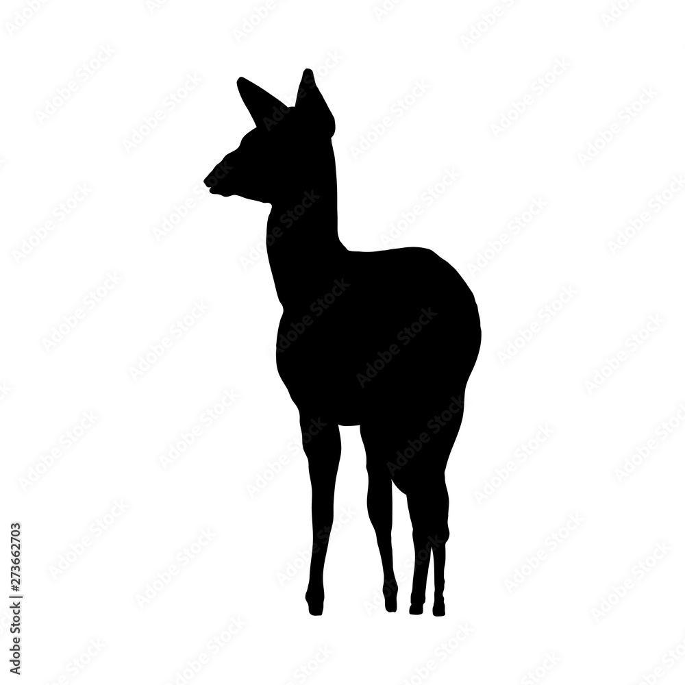 Fototapeta premium Deer Silhouette