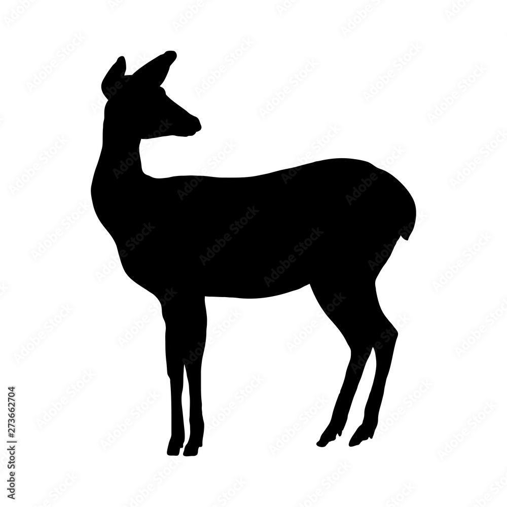 Fototapeta premium Deer Silhouette