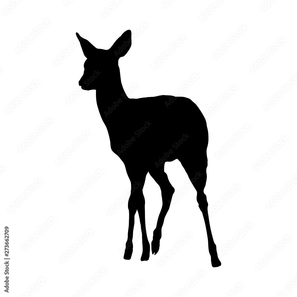 Deer Silhouette Deer Silhouette