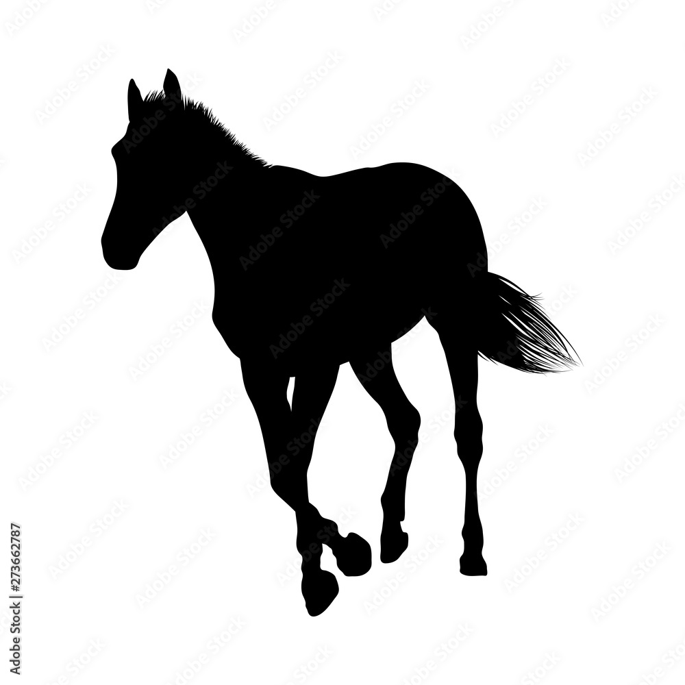 Horse Silhouette