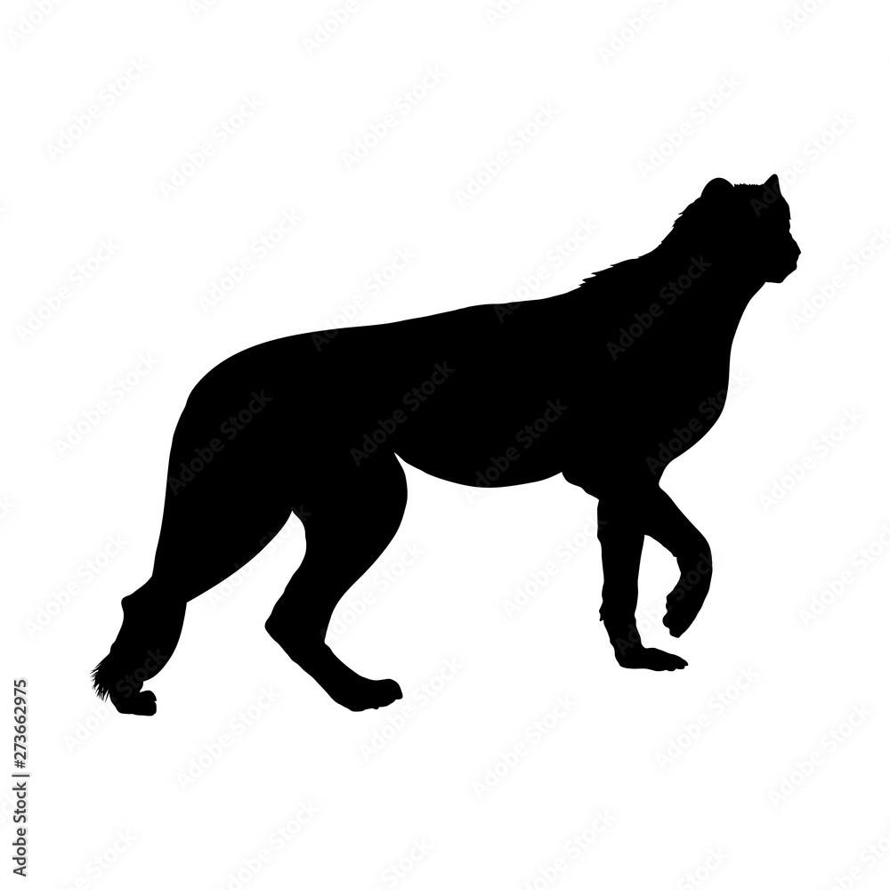 Leopard Silhouette Leopard Silhouette