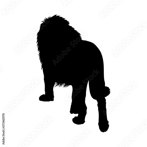 Fototapeta Naklejka Na Ścianę i Meble -  Lion Silhouette