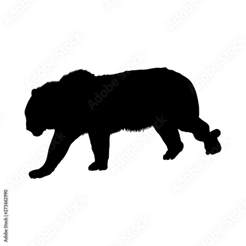 Tiger Silhouette