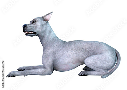 3D Rendering Blue Grat Dane Dog on White