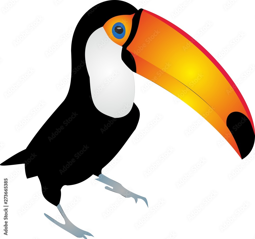 Obraz premium Tucán