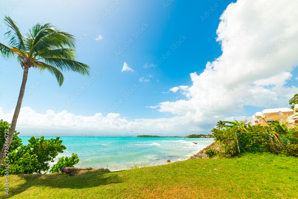 Green grass and blue sea in Bas du Fort beach in Guadeloupe