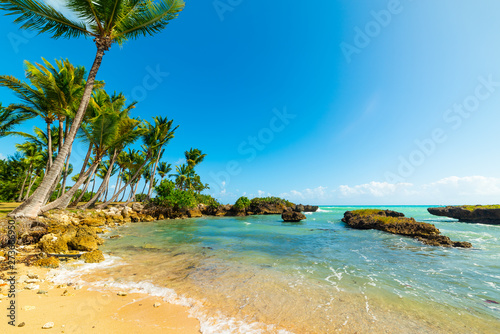 Sand and palm trees in bas du Fort shore in Guadeloupe