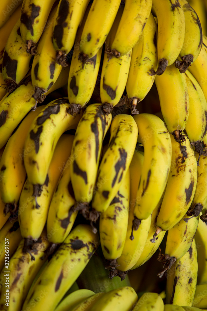 Clusters of yellow ripe bananas