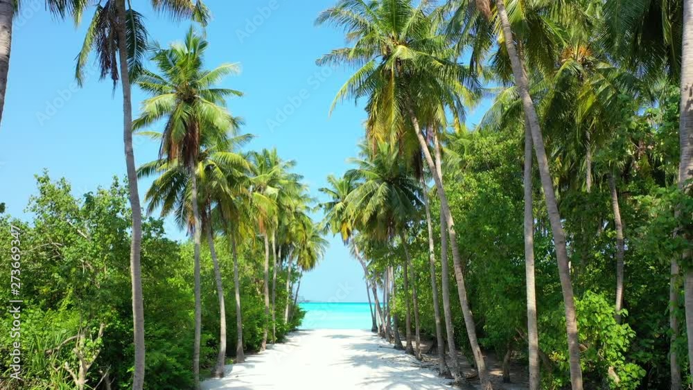 Thailand: zoom out clip of trail crossing a lush tropical forest. Intense turquoise waters can be seen at the end of the trail Thailand: zoom out clip of trail crossing a lush tropical forest. Intense turquoise waters can be seen at the end of the trail