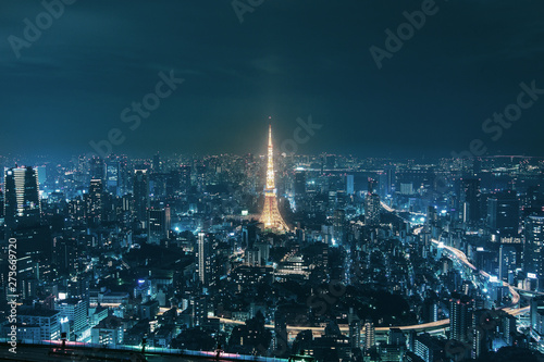 Tokyo night  photo