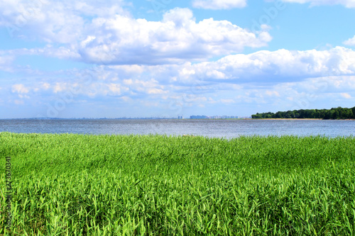 A field of green grass against a pond and blue sky with white clouds  the outline of the city on the horizon line