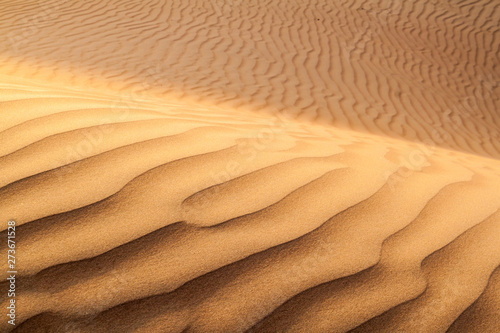 Dunes of Sharqiya (Wahiba) Sands, Oman