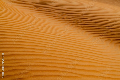 Sand dunes of Sharqiya (Wahiba) Sands, Oman © Matyas Rehak