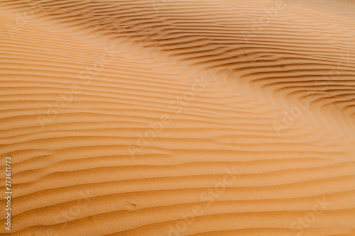 Sand dunes of Sharqiya (Wahiba) Sands, Oman © Matyas Rehak