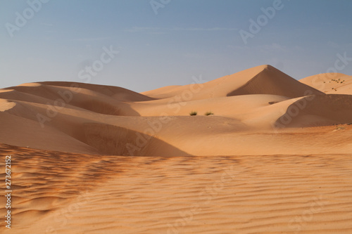 Sand dunes of Sharqiya  Wahiba  Sands  Oman
