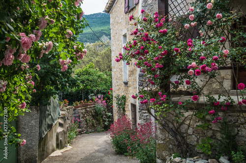 motte chalancon,drome,france photo