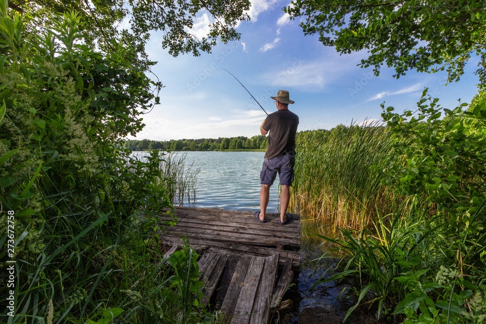 angler catching the fish during summer day - obrazy, fototapety, plakaty 